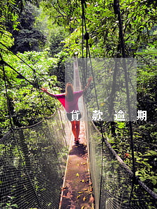 貸款逾期幾天變老賴