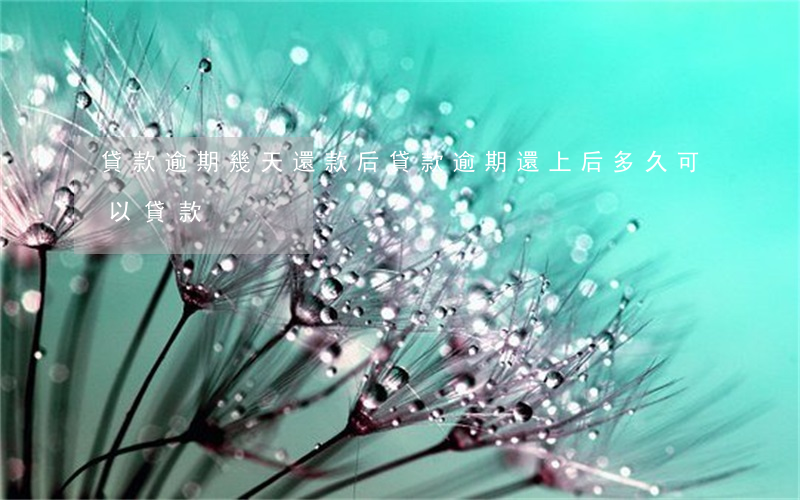 貸款逾期幾天還款后(貸款逾期還上后,多久可以貸款)