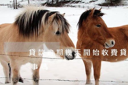 貸款逾期幾天開始收費(貸款逾期幾個小時有事嗎)
