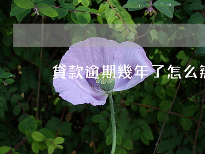 貸款逾期幾年了怎么辦(幾年前逾期能貸款嗎)