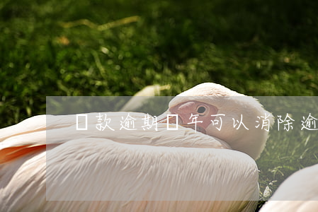 貸款逾期幾年可以消除(逾期多少年可以消除)
