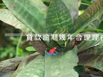 貸款逾期幾年合理理由(貸款逾期寬限期多久)