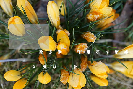 貸款逾期幾年后可以消除(逾期記錄消除后多久可以貸款)