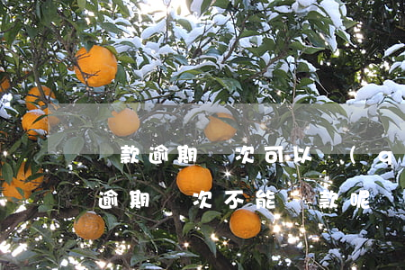 貸款逾期幾次可以請(qǐng)律師(一般逾期幾次不能貸款呢)