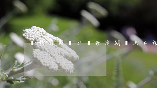 貸款逾期幾次(貸款逾期幾次不能貸款)