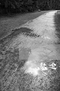貸款逾期形成原因及措施(貸款逾期原因怎么寫)