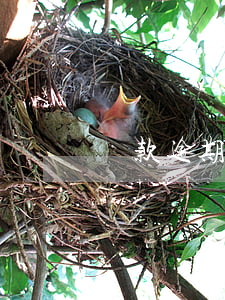 貸款逾期影響上研嗎(逾期對房貸影響大嗎)