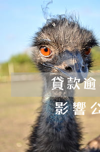 貸款逾期影響事業(yè)編政審(銀行貸款影響公務(wù)員政審嗎)