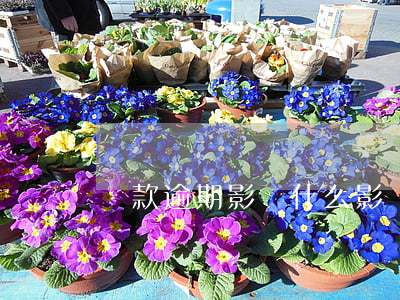 貸款逾期影響什么影響嗎(逾期有哪些影響)