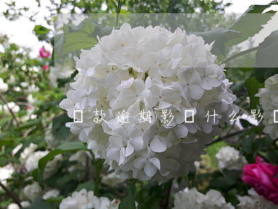 貸款逾期影響什么影響(逾期有哪些影響)