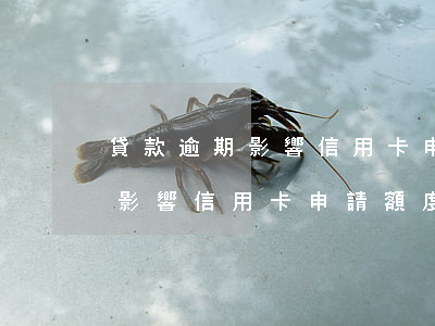 貸款逾期影響信用卡申請額度么-貸款逾期影響信用卡申請額度么嗎
