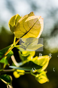 貸款逾期影響兵檢政審嗎(銀行房貸逾期影響公務(wù)員政審嗎)