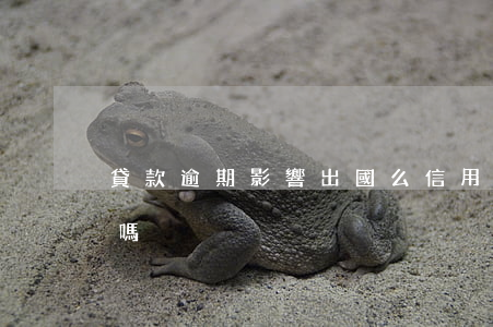 貸款逾期影響出國么(信用卡逾期了影響出國嗎)
