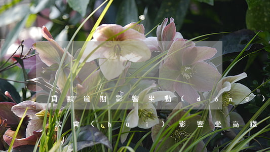 貸款逾期影響坐動(dòng)車嗎(逾期還款會(huì)影響坐高鐵)
