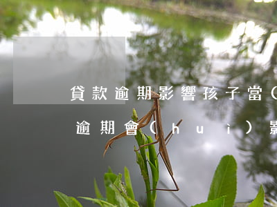 貸款逾期影響孩子當(dāng)兵嗎(父母逾期會(huì)影響孩子上學(xué)當(dāng)兵)