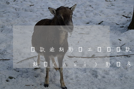 貸款逾期影響工資嗎(貸款有過(guò)逾期會(huì)影響房貸么)