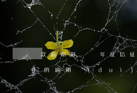 貸款逾期影響幾年征信(征信幾年內(nèi)的逾期對(duì)房貸有影響)