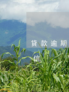 貸款逾期影響征信幾年(貸款逾期多久影響征信)