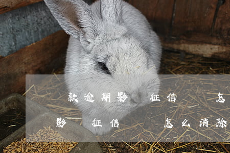 貸款逾期影響征信記錄怎么消除-貸款逾期影響征信記錄怎么消除呢
