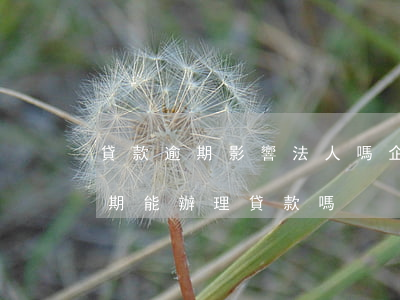貸款逾期影響法人嗎(企業(yè)法人有逾期能辦理貸款嗎)