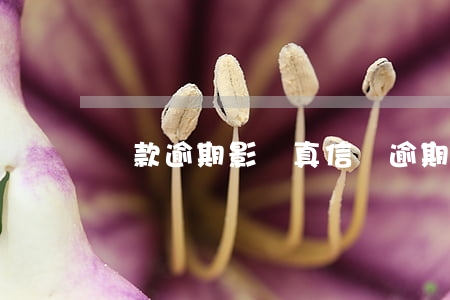 貸款逾期影響真信嗎(逾期對貸款有影響嗎)