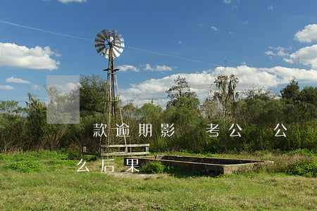 貸款逾期影響考公嗎(公職人員貸款逾期有什么后果)