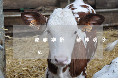 貸款逾期影響解押房子嗎(抵押貸款有逾期能辦么)