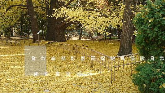 貸款逾期影響買保險嗎(保險貸款逾期了會不會影響征信)