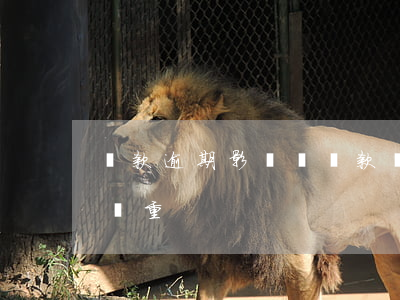 貸款逾期影響辦貸款嗎(貸款逾期有什么后果嚴重)