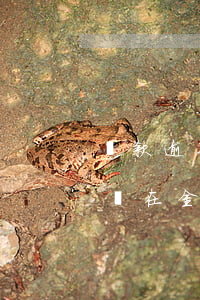 貸款逾期影響進(jìn)國(guó)企嗎(在金融公司貸款逾期了對(duì)征信有影響嗎)