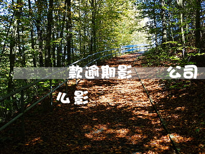 貸款逾期影響開公司嗎(公司貸款逾期會有什么影響)