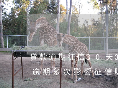 貸款逾期征信30天(30天內(nèi)的逾期多次影響征信嗎)