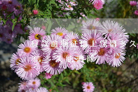 貸款逾期征信上保留多久(銀行貸款逾期上征信多久能消除)