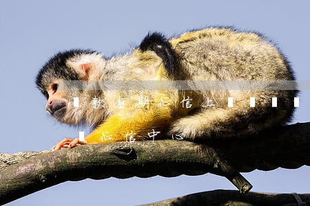 貸款逾期征信上傳時間(銀行貸款逾期,多久上報征信中心)