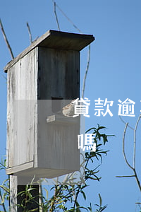 貸款逾期征信可以消除(房貸逾期征信能消除嗎)