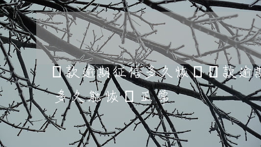 貸款逾期征信多久恢復(貸款逾期一個月征信多久能恢復正常)