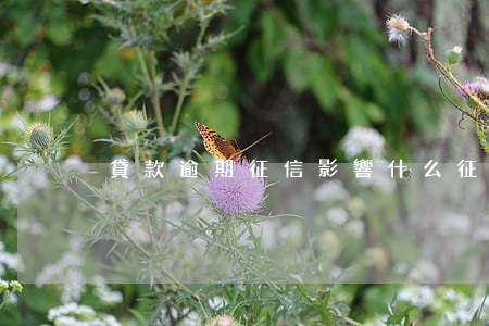 貸款逾期征信影響什么(征信逾期有哪些危害)
