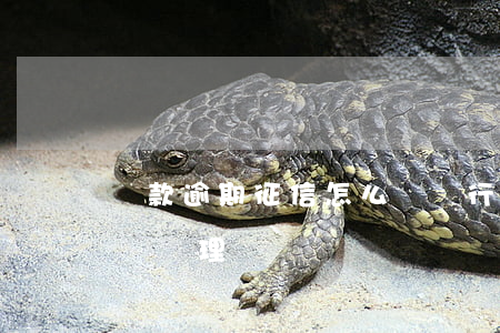 貸款逾期征信怎么辦(銀行貸款逾期上征信怎樣處理)