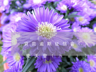 貸款逾期征信會(huì)掛多久(貸款逾期幾天會(huì)上個(gè)人征信)