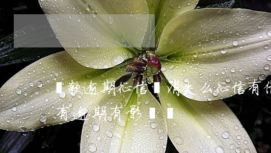 貸款逾期征信會消失么(征信有借款記錄但沒有逾期有影響嗎)