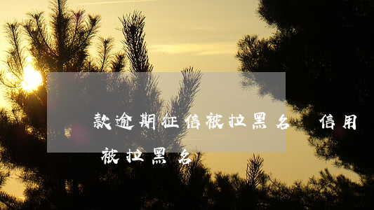 貸款逾期征信被拉黑名單(信用貸款逾期多久會被拉黑名單)