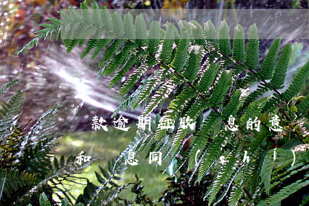 貸款逾期征收罰息的意義(銀行貸款逾期利息和罰息同時(shí)收取嗎?)