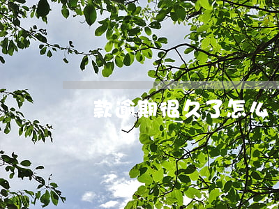 貸款逾期很久了怎么還(貸款逾期很久了怎么還)