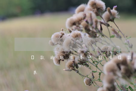 貸款逾期很多年沒催(貸款長時間逾期不還后果)