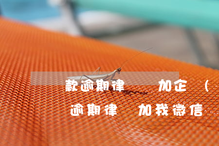 貸款逾期律師會加企業(yè)微信么-網貸逾期律師加我微信