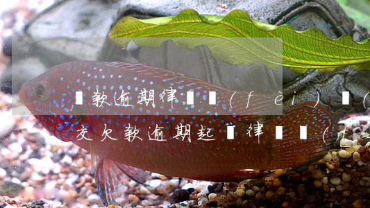 貸款逾期律師費(fèi)誰(shuí)交 欠款逾期起訴律師費(fèi)誰(shuí)付