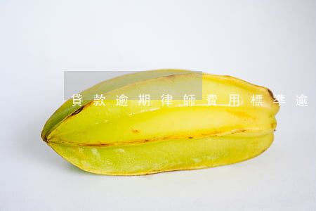 貸款逾期律師費用標準（逾期房貸律師費）