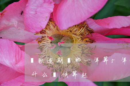 貸款逾期從那一年算5年(逾期記錄五年是從什么時候算起)