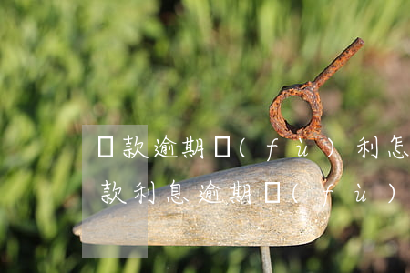 貸款逾期復(fù)利怎樣計(jì)算(貸款利息逾期復(fù)利計(jì)算方法)
