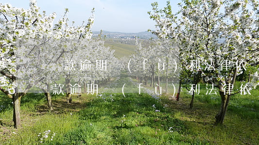 貸款逾期復(fù)利法律依據(jù)(貸款逾期復(fù)利法律依據(jù))